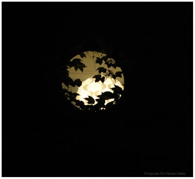 Moon Window -- A Closer Look