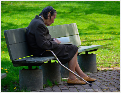 Reading in Peace and Tranquility