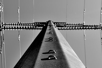 DSC_0106a.jpg