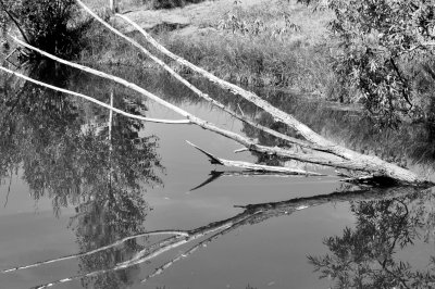 DSC_0109a.jpg