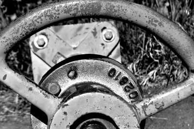DSC_0126a.jpg