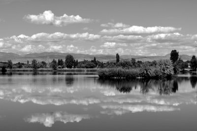 DSC_0194a.jpg