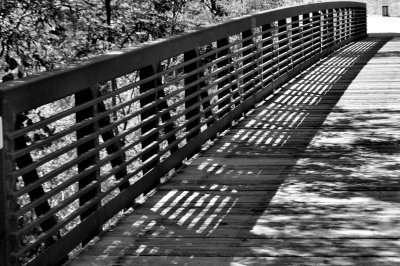 DSC_0157a.jpg