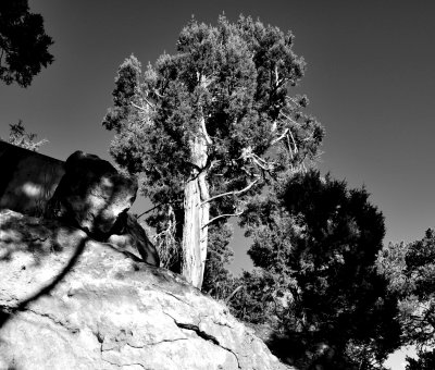 DSC_0164.jpg