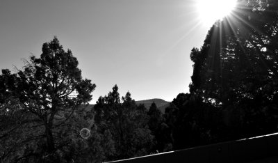 DSC_0144.jpg