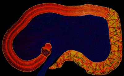 Australian Aboriginal Art.