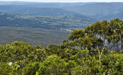 The Blue Mountains..6