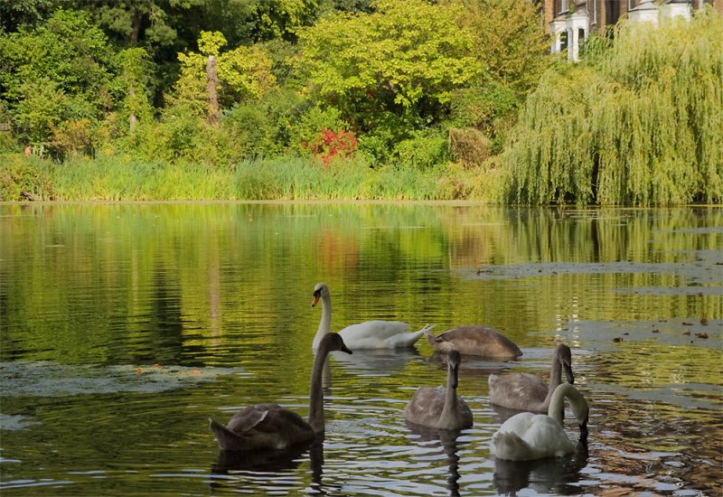 Hampstead Heath
