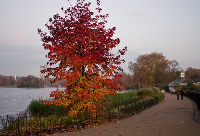 Hyde Park&Kensington Gardens