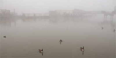 River Thames in the mist