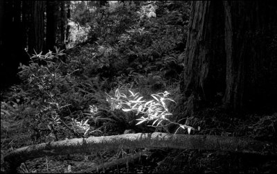 san-francisco-2012210-copie.jpg