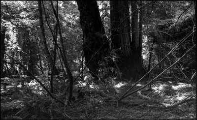 san-francisco-2012227-copie.jpg