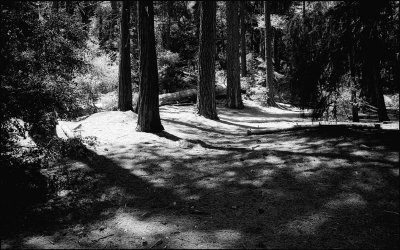 san-francisco-2012374-copie.jpg