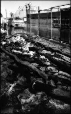 New-York565-copie.jpg