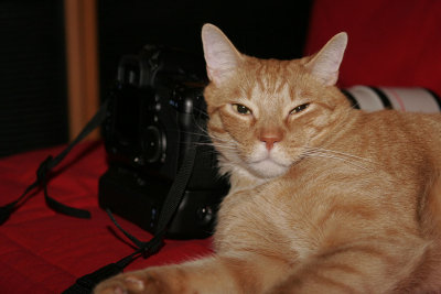 _MG_3446.jpg