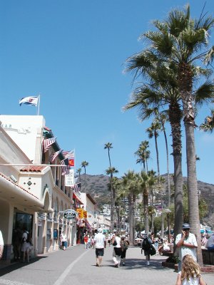 Catalina Island