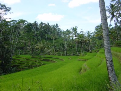 Bali/Lombok/Gili Trawangan