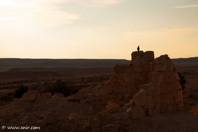 IMG_8994.jpg