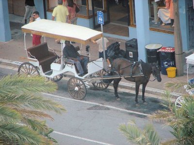 Hamilton horse and buggy