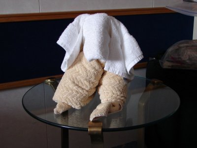 towel_animal2.jpg