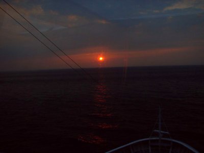 An end to a great Cruise