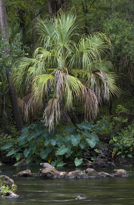 Hillsborough River State Park