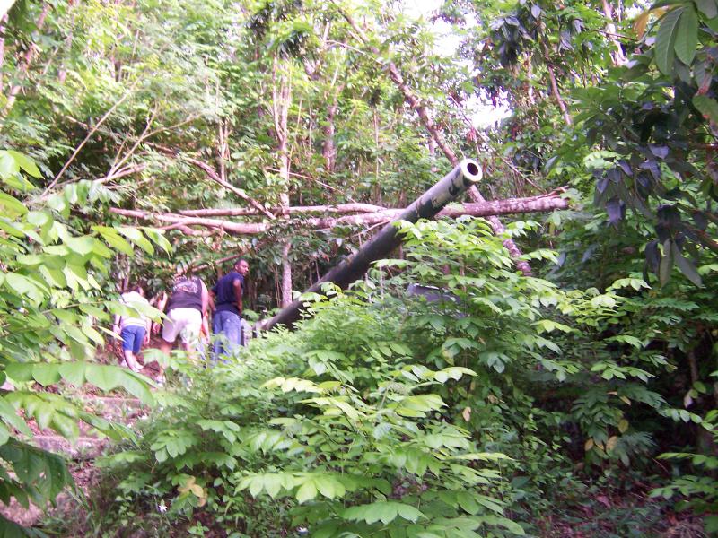 Japanese artillery gun - Nimitz Hill