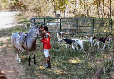 Hunting at Valley Green East Gate - Saturday Oct 1