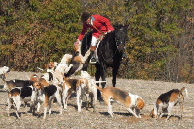 Hunting from the East Gate, October 29