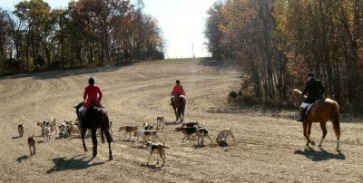 Hunting from the East Gate, October 29