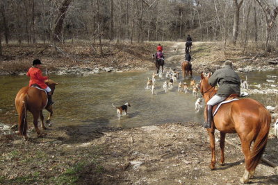 Hunting at Valley Green, Saturday March 3rd