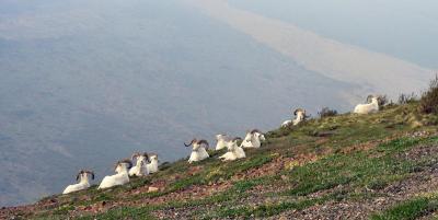 DSCN4628.JPG