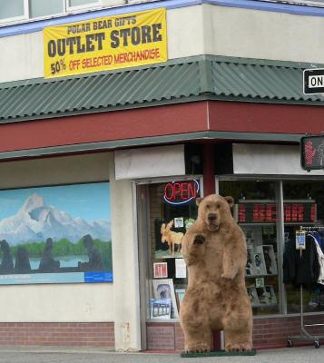 Tourist bear
