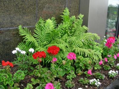 DSCN5182.JPG
