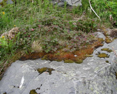 DSCN5225.JPG