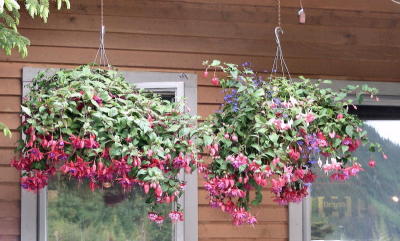 DSCN5230.JPG