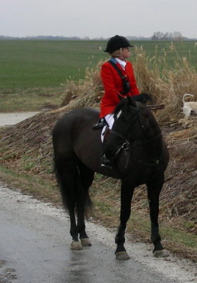 DSCN9533.JPG
