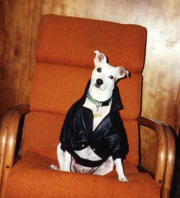 Cindy_0045.jpg