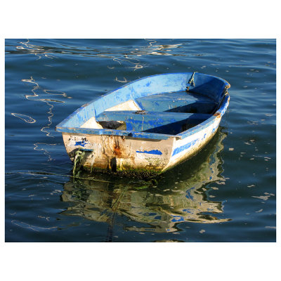077 net.jpg