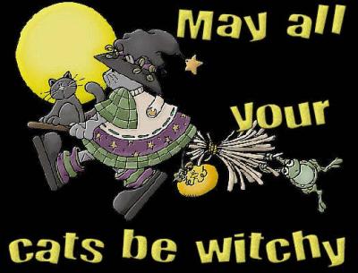 Wicca cats