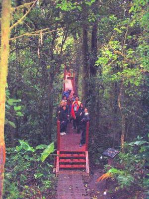 Monteverde Cloud Forest Reserve