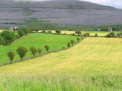 Burren