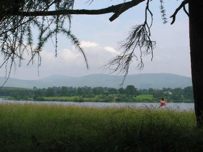 Poulaphotica reservoir