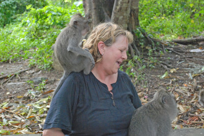 Sals close encounter - Sacred Monkey Forest Ubud