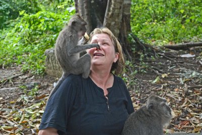Sals close encounter2 - Sacred Monkey Forest Ubud