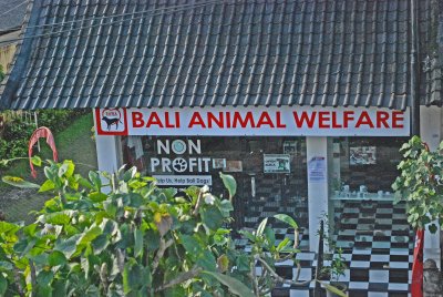 Bali Animal Welfare BAWA