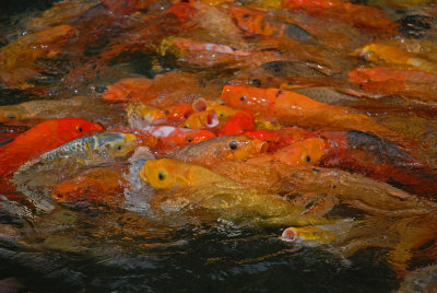 Tampak Siring Holy Spring Water Temple