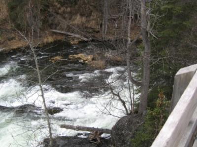 Russian River Bear Hunting Trip