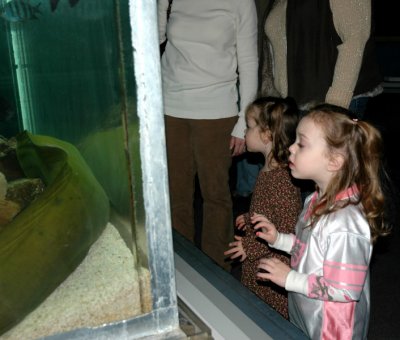 DSC_1066.jpg