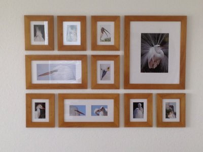 Living Room Wall 1.jpeg